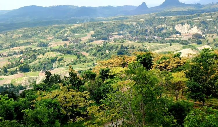 Pesona Negeri Atas Angin Bojonegoro, Berburu Sunrise di Puncak Bukit Cinta
