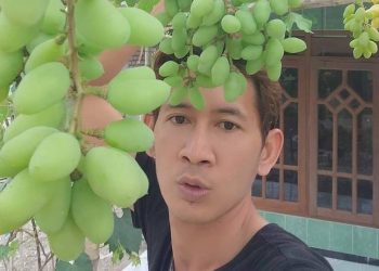 Sosok Inspiratif Ahmad Yanuar Hari Wibowo, Pemuda Pembudidaya Anggur di Bojonegoro