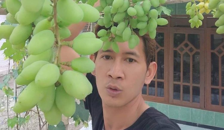Sosok Inspiratif Ahmad Yanuar Hari Wibowo, Pemuda Pembudidaya Anggur di Bojonegoro
