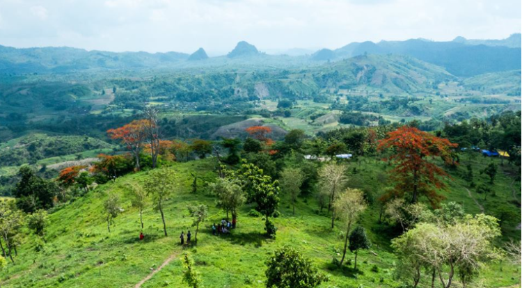 Rekomendasi Wisata Alam Bojonegoro yang Indah, Cocok untuk Liburan Bersama Keluarga