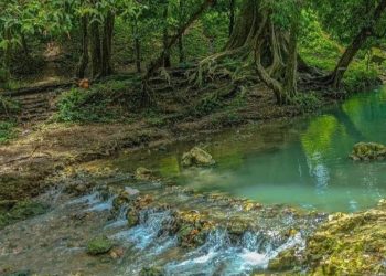 Tiket Masuk Terjangkau! Wisata Growgoland Bojonegoro Selalu Ramai Pengunjung, Tawarkan Suasana Alam yang Damai