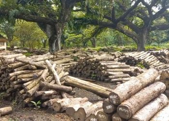 Dinilai sebagai Tempat yang Menarik, TPK Bojonegoro Kerap Didatangi Para Remaja untuk Kegiatan Ini!