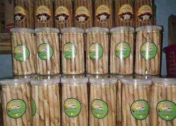 Cara Membuat Ledre Pisang Khas Bojonegoro, Perhatian Bahan yang Harus Disiapkan