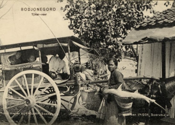 Asal Usul Masyarakat Bojonegoro, dalam Tinjauan Perspektif Sejarah Wong Kalang dan Wong Samin