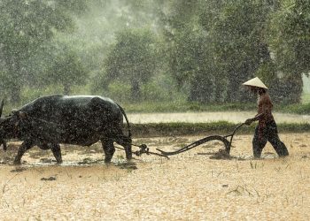 Kenapa Kita Tidak Belajar Slow Living dari Para Petani Saja? Rumus Hidup Bahagia