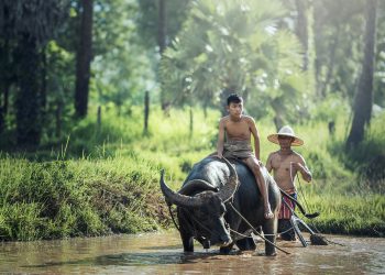 Hidup Bahagia dalam Kesederhanaan, Realistiskah?