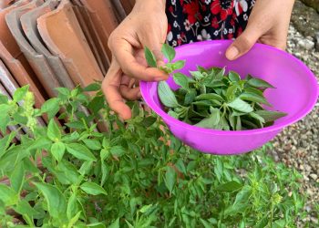 Tetap Ngramban Demi Ketahanan Badan  