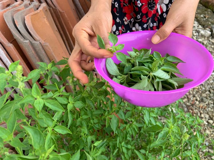 Tetap Ngramban Demi Ketahanan Badan