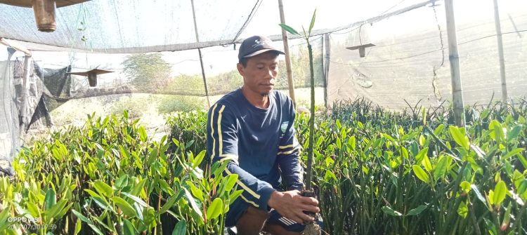 Merawat Mangrove untuk Masa Depan Alam dan Manusia