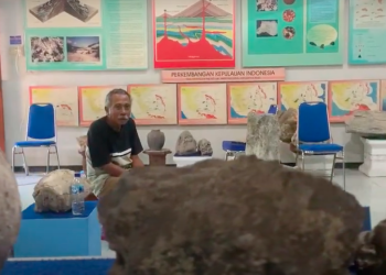 Harry Nugroho Menjaga Dunia Fosil dari Ruang Sempit Museum 13