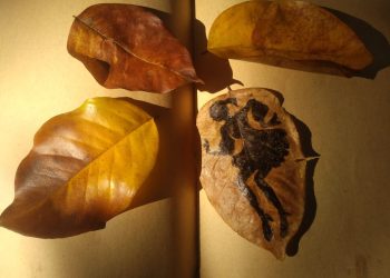 Crita Cekak Jonegoroan Dening Sarwo Muji: Mak Jenthit