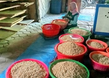 Cerita dari Dapur Warga Pengrajin Tempe Bringan