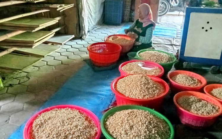 Cerita dari Dapur Warga Pengrajin Tempe Bringan