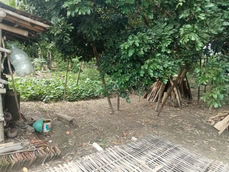Pertahankan Karang Kitri untuk Ketahanan Pangan Keluarga