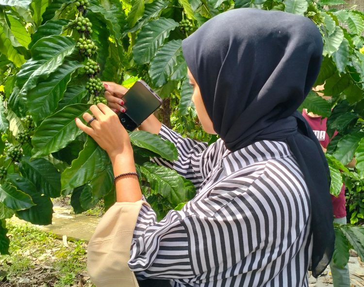 Menanam Kopi di Dataran Rendah Bojonegoro; Sebuah Inovasi di Tengah Tantangan