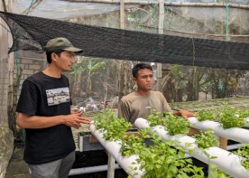Petani Muda Milenial Bojonegoro Sukses Terapkan Sistem Pertanian Modern Greenhouse