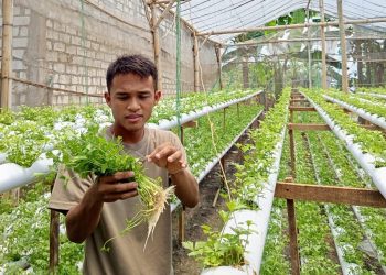 Fatkul Ilma, Founder P4S Djoyo Tani Bojonegoro Buktikan Harga Produk Pertanian Bisa Ditentukan Petani