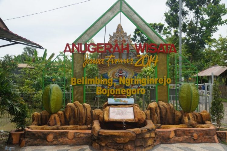 Daftar Wisata Bojonegoro Wilayah Utara, dari Petik Buah hingga Ziarah Makam Wali 