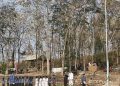 Merayakan HUT ke-81 RI, Ketika Lagu Indonesia Raya Menggema di Antara Pohon Jati Hutan Temayang